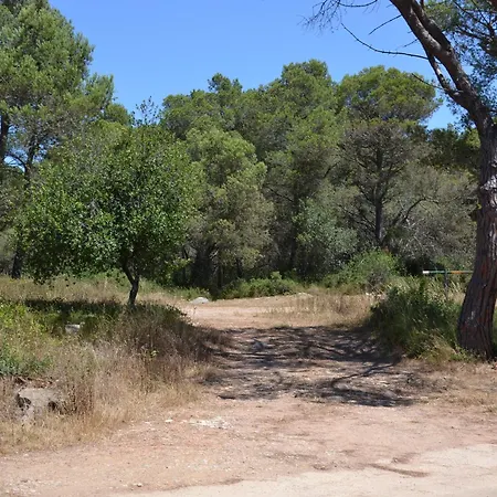 Prázdninový dům Casa Se Aceptan Mascotas Cercana A Un Bosque - Es-323-56